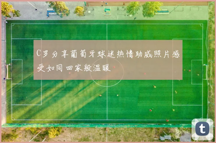 C罗分享葡萄牙球迷热情助威照片感受如同回家般温暖