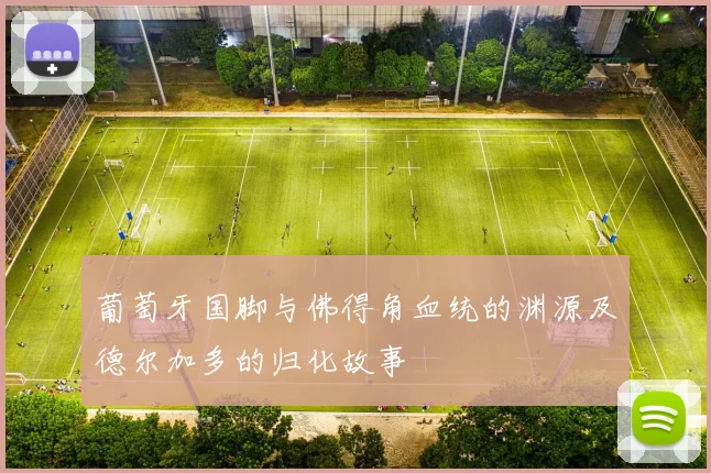 葡萄牙国脚与佛得角血统的渊源及德尔加多的归化故事